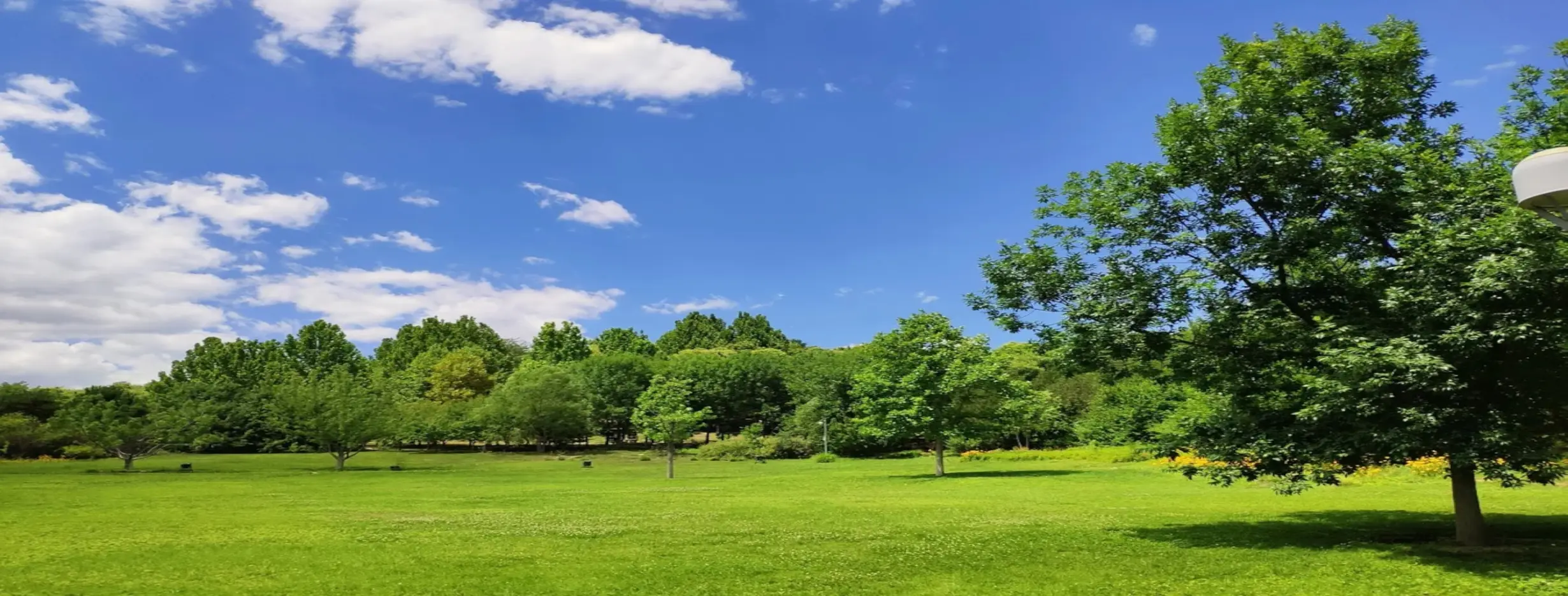 Image for Green Urban Spaces